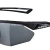 Alpina Nylos HR Sportbrille - Black Mat -Sportausrüstung Alpina Nylos HR Sportbrille black mat 1